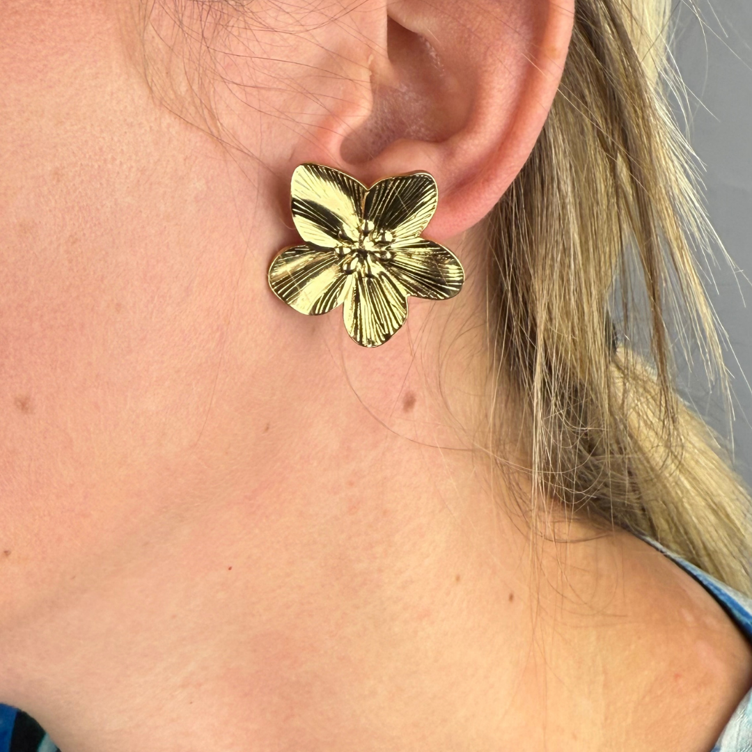 BOUCLES D'OREILLES ROSE