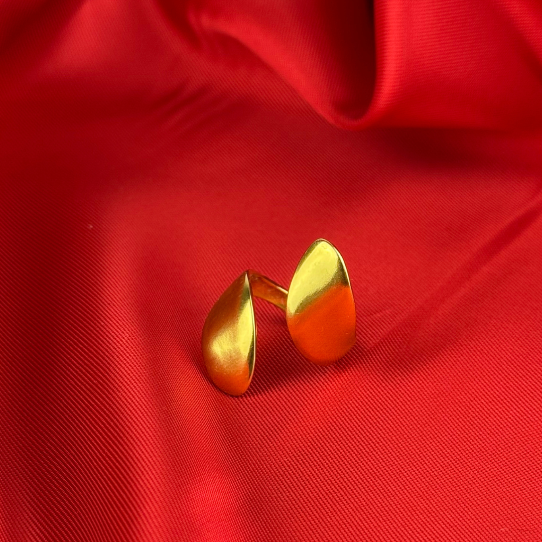 BAGUE ZINA