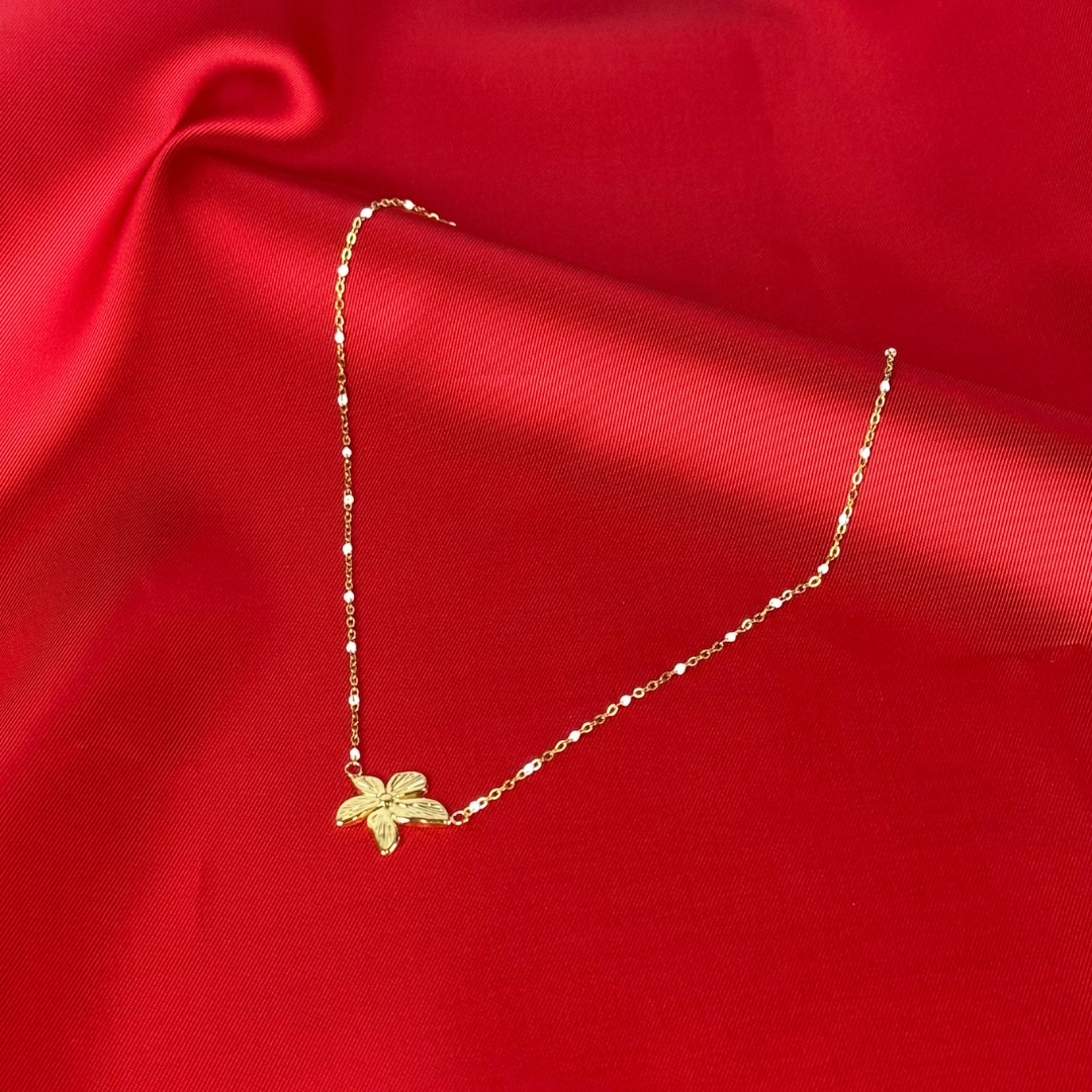 COLLIER NORA