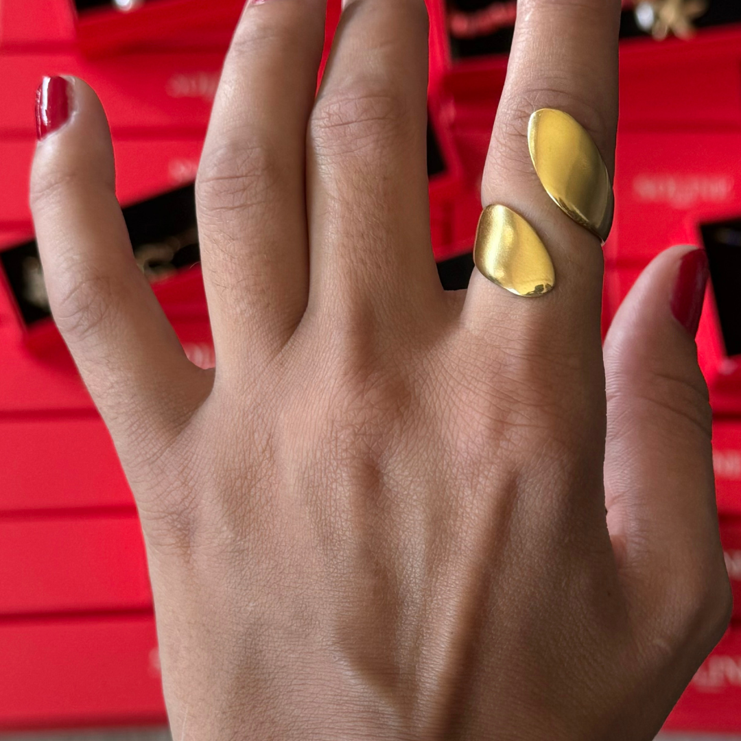 BAGUE ZINA